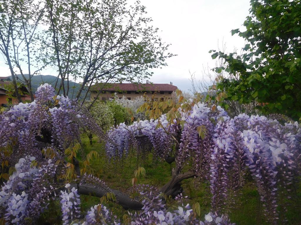 Bed and Breakfast U Tej Кумьяна Экстерьер фото